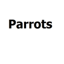 PARROTS APK