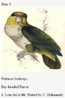 1 Schermata PARROTS