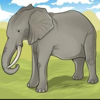 How To Draw Elephants Affiche