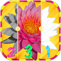 How to draw flowers