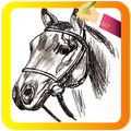 Cómo dibujar Horses