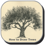 Drawing Trees