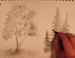 2 Schermata Disegni degli alberi