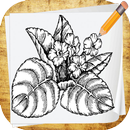 How To Draw Flowers APK
