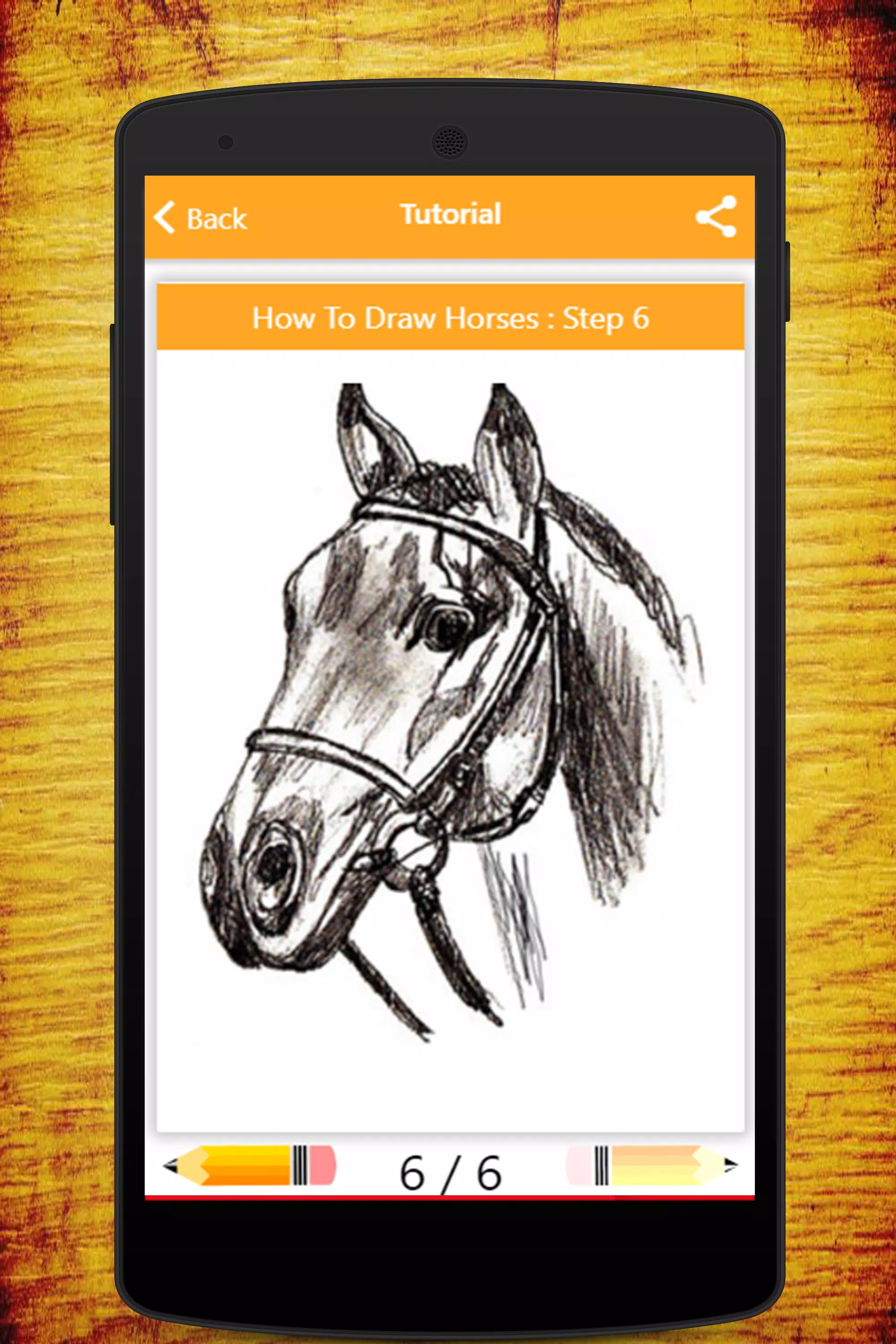 How-To-Draw-Horses  Drawing lessons, Cavalo desenho, Cavalos