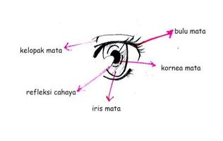 learn to draw manga characters syot layar 1