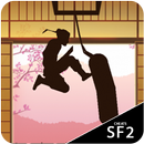 Cheats for Shadow Fight 2 APK