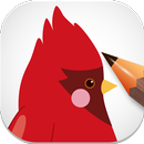 Draw Birds Step By Step aplikacja