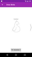 Draw Birds Step By Step imagem de tela 3