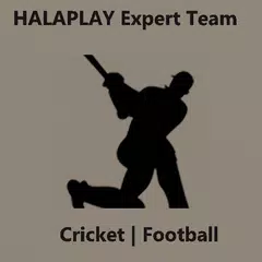 Halaplay Expert Team APK download