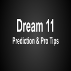 Predictions Dream 11 Pro Tips Expert icône