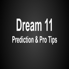 Predictions Dream 11 Pro Tips Expert icono