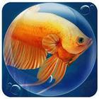 Dream Fish Seasons icône