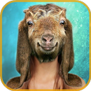 Animal Face Changer Maker APK