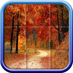 Beautiful puzzles APK download