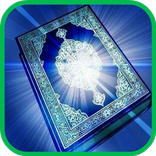 Al Quran Bahasa Melayu Pro