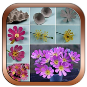 How to flower arrangement icon