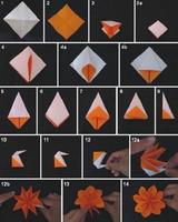 idée papier origami Affiche