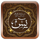 surat yasin dan istighosah APK