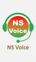 NS Voice Affiche