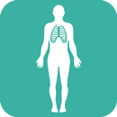 APK Human Body Anatomy