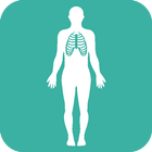 Human Body Anatomy icône