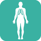 Human Body Anatomy icon