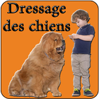 dressage du chien FR biểu tượng