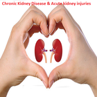 Chronic Kidney Disease & Acute kidney injuries 아이콘
