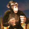 Apes Survival 3D APK