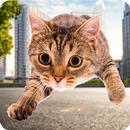 Crazy Cat Simulator 2018 APK