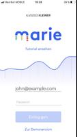 Marie 海报