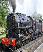 Steam Trains Memory Game تصوير الشاشة 1