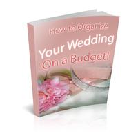 Plan A Wedding On A Budget Affiche