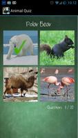 Animal Quiz Affiche