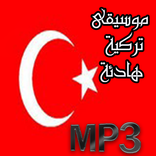 موسيقى تركية هادئة