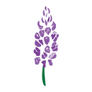 Glenwild Golf Club & Spa APK