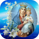 Virgin Mary HD LWP APK