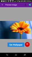 Awesome Flowers Wallpapers screenshot 1