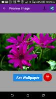 Awesome Flowers Wallpapers capture d'écran 2