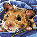 Hamster Pet Puzzles APK