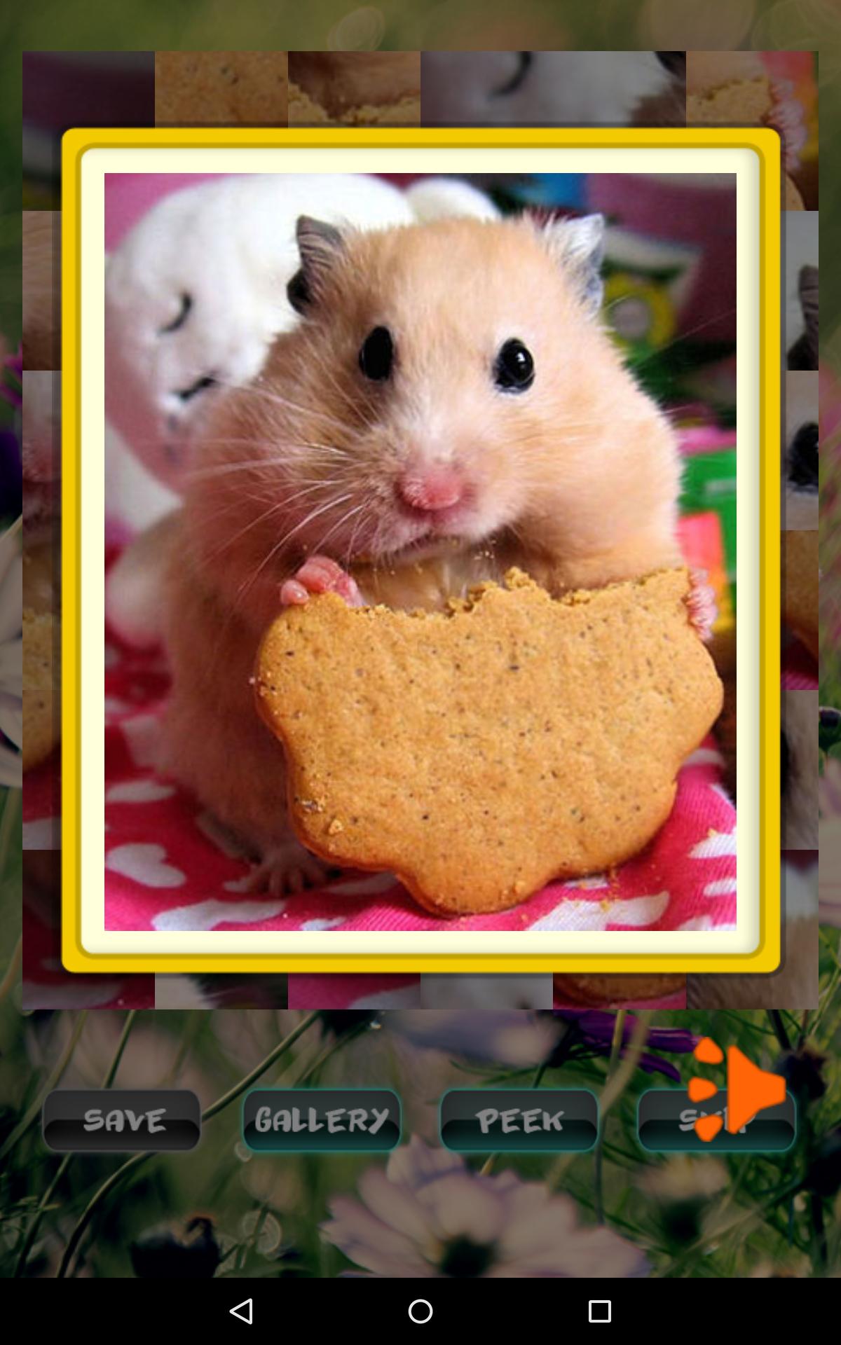 Hamster Puzzles Factory Sale www.cifroclub.ru