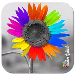 Color Splash APK download