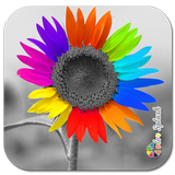 Color Splash Zeichen