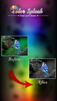 Color Splash Plakat