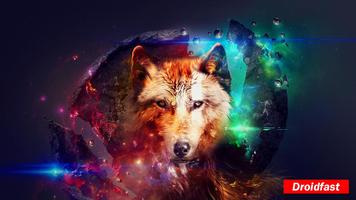 Wolf Wallpapers Affiche