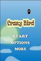 Crazy Bird plakat