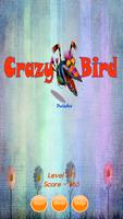 Crazy Bird Pro Affiche