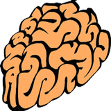 Moron Test ícone