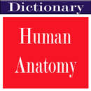 Human Anatomy Dictionary APK